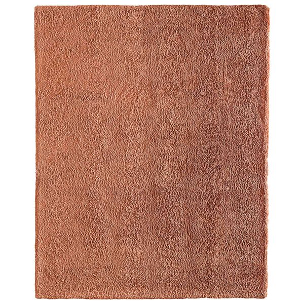 Tapis Tula 8A98F Feizy, Orange Br?le